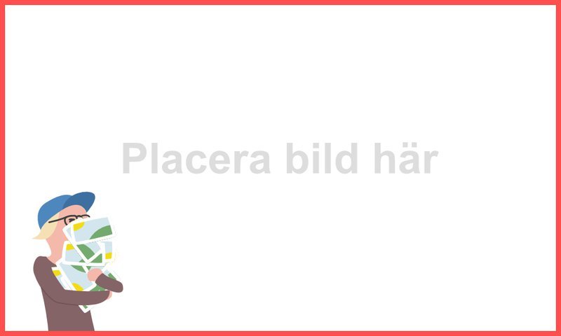 bildsprak.width-800.jpg